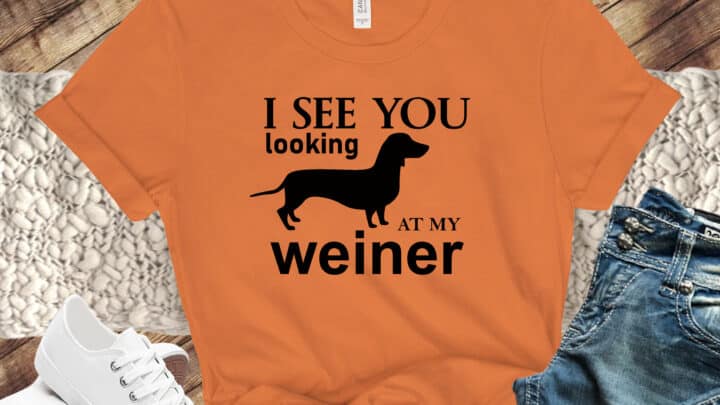 Free Looking at my Weiner SVG File
